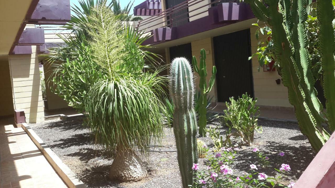 Beautiful Apartment Hercules Costa Del Silencio Bagian luar foto